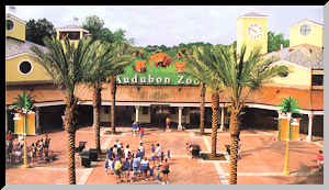 Audubon Zoo