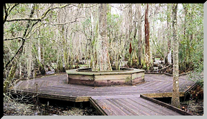 Jean Lafitte National Historical Park and Preserve